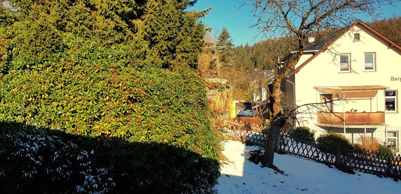 Villa Helvetia 바트엘스터 외부 사진